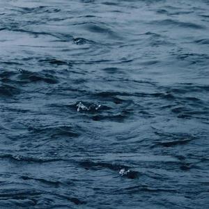 王丽坤被多人伦轩视频
